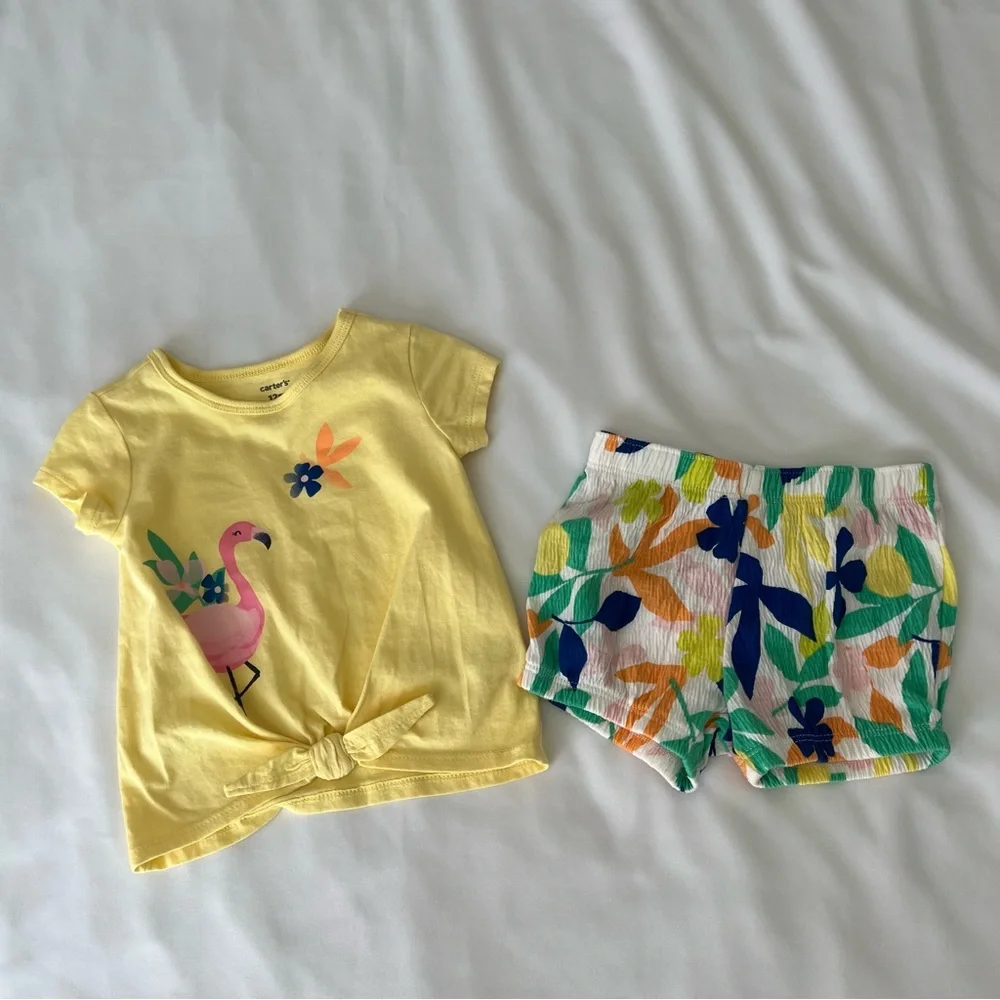 Toddler 2-Piece Flamingo Tee &‎ Short Set